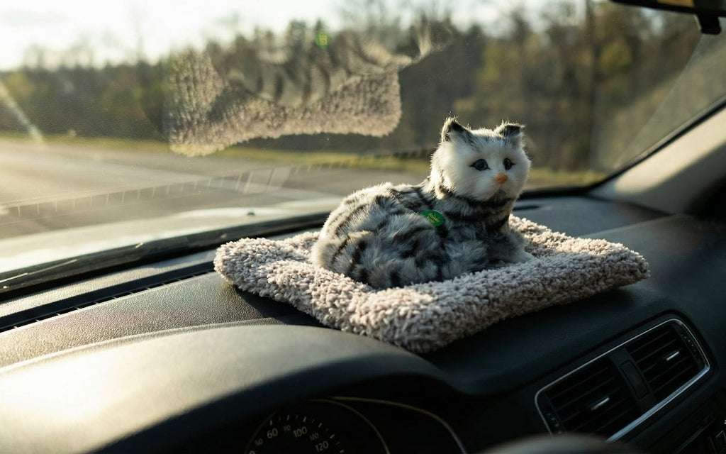 Car & Home Decor (CAT)