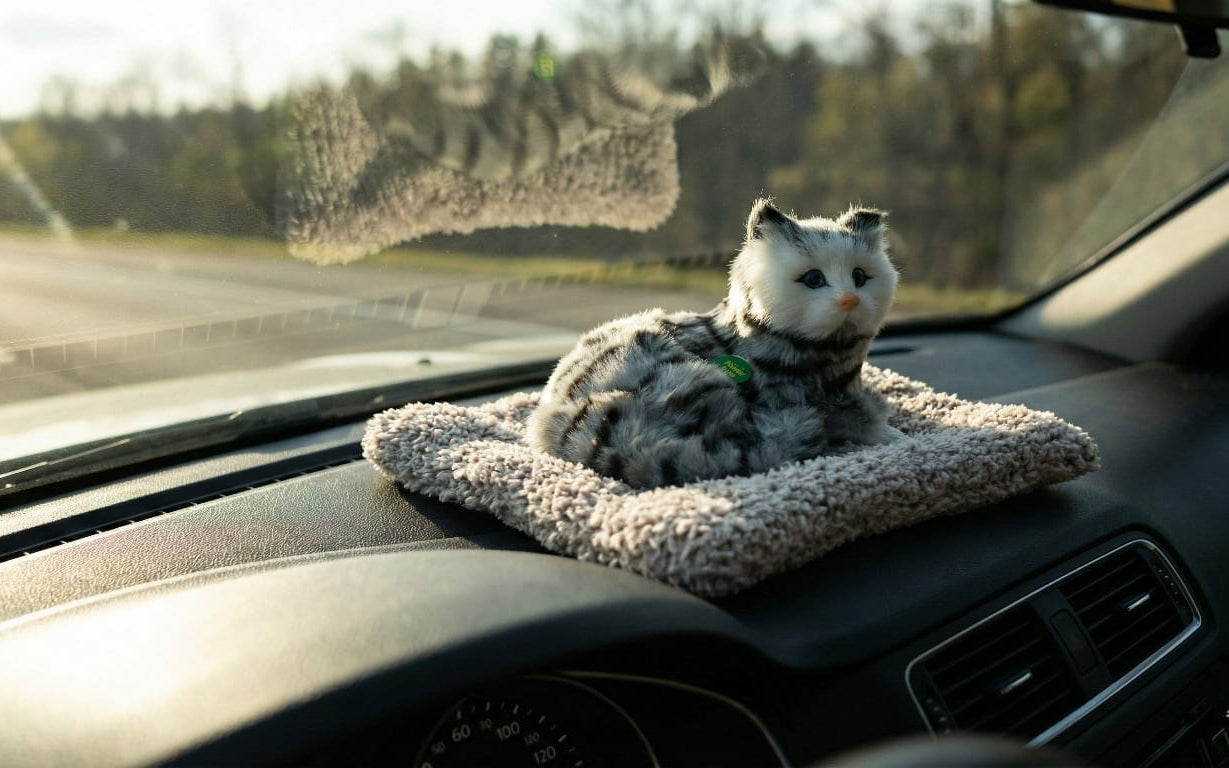Car & Home Decor (CAT)