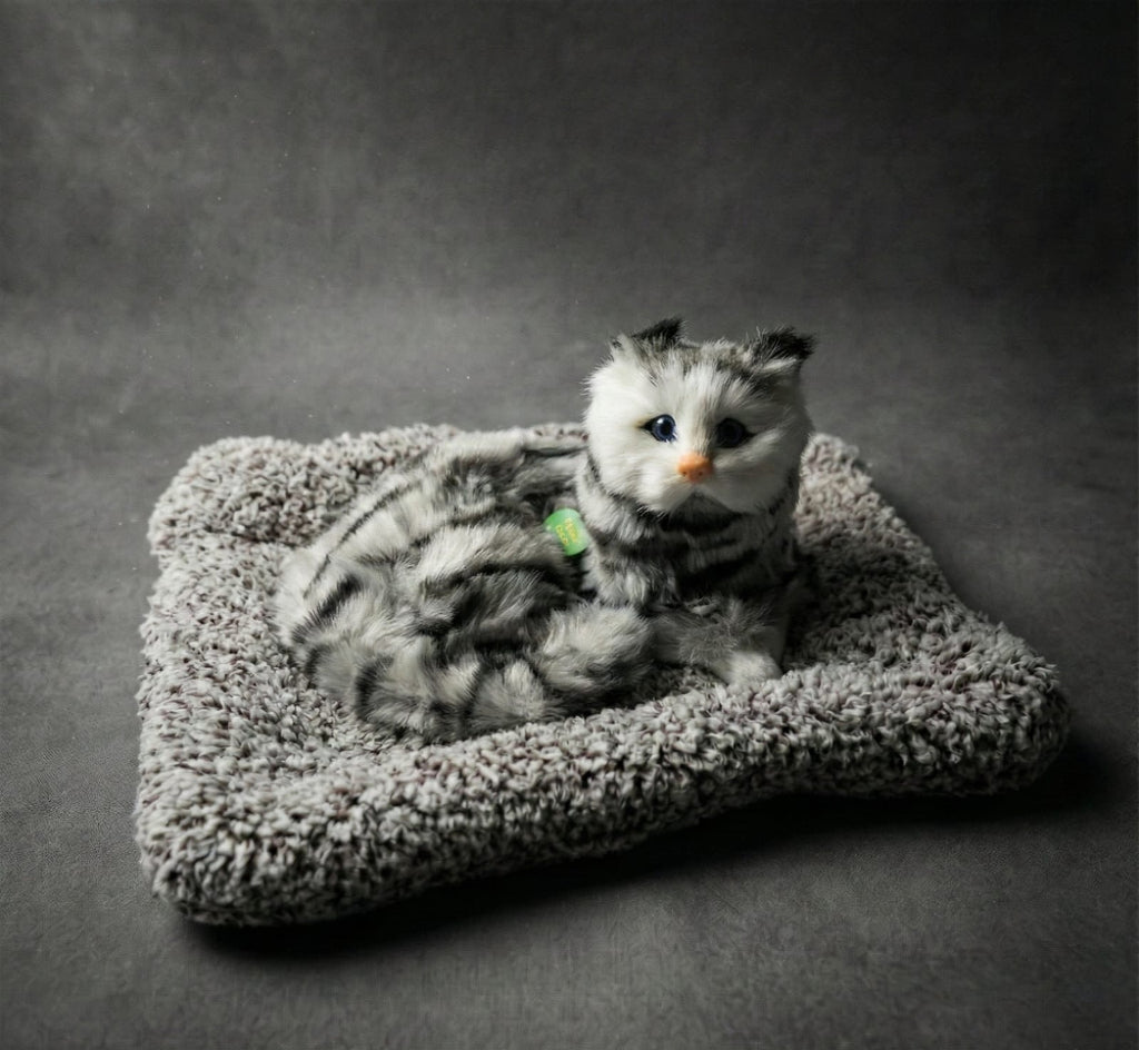 Car & Home Decor (CAT)