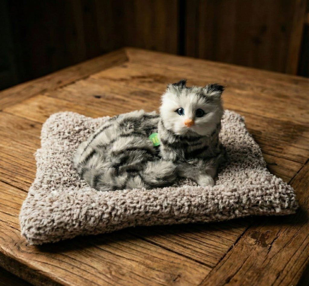 Car & Home Decor (CAT)