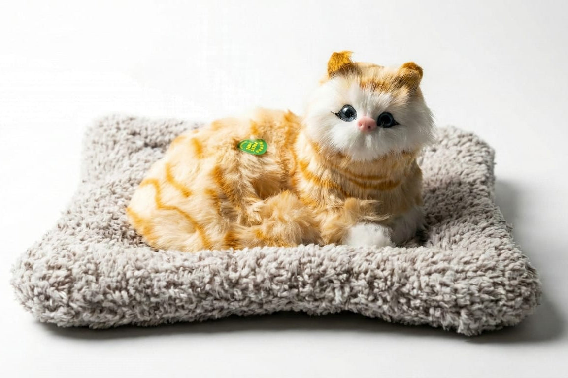 Car & Home Decor (CAT)