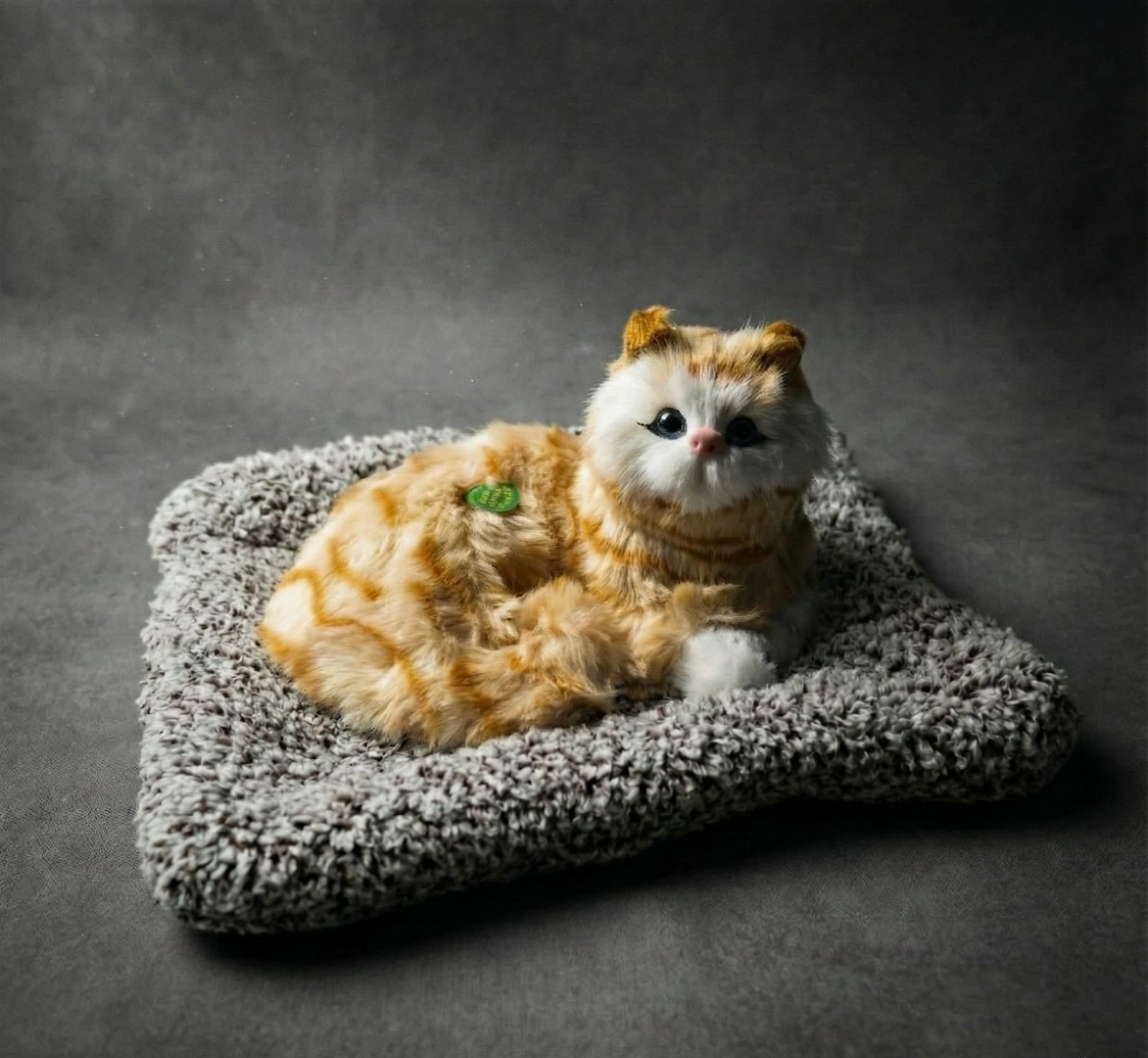 Car & Home Decor (CAT)