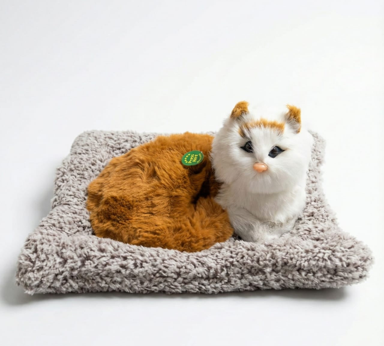 Car & Home Decor (CAT)