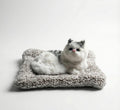 Car & Home Decor (CAT)