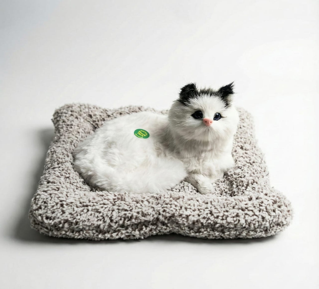 Car & Home Decor (CAT)