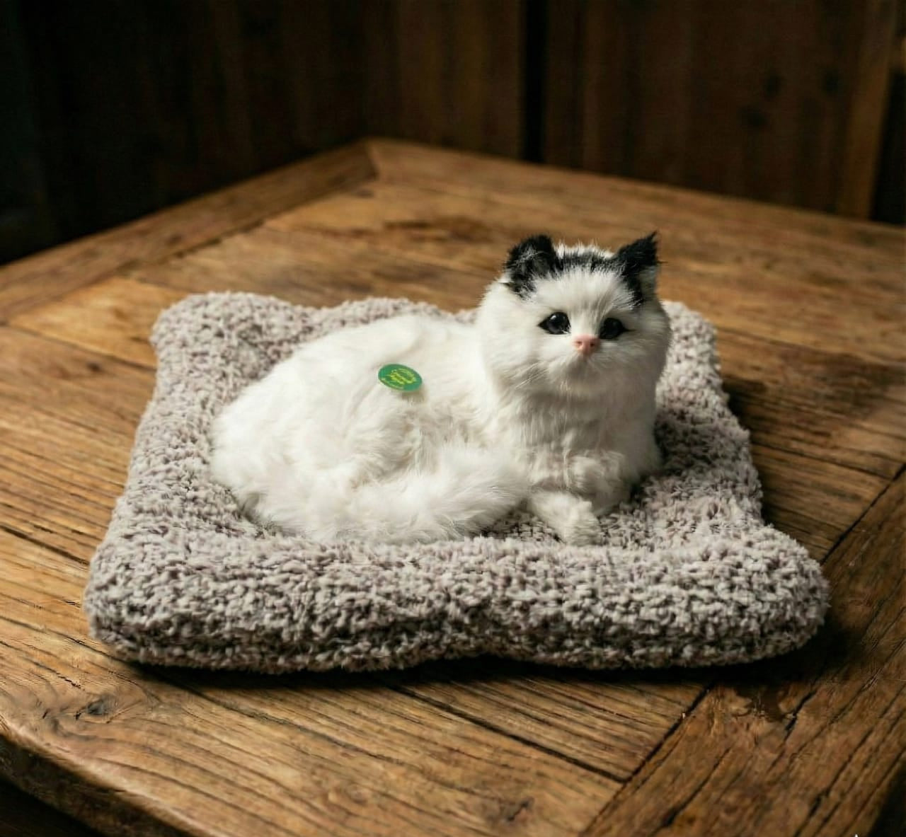 Car & Home Decor (CAT)