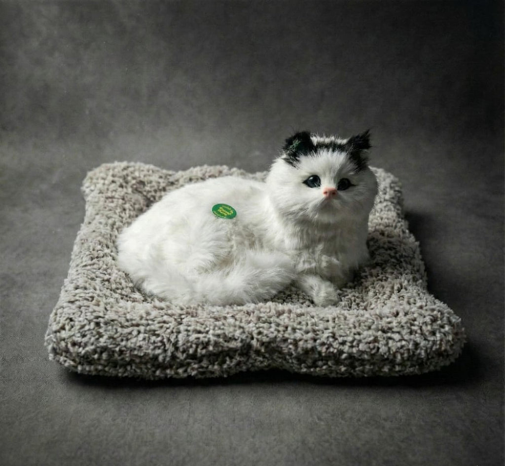 Car & Home Decor (CAT)