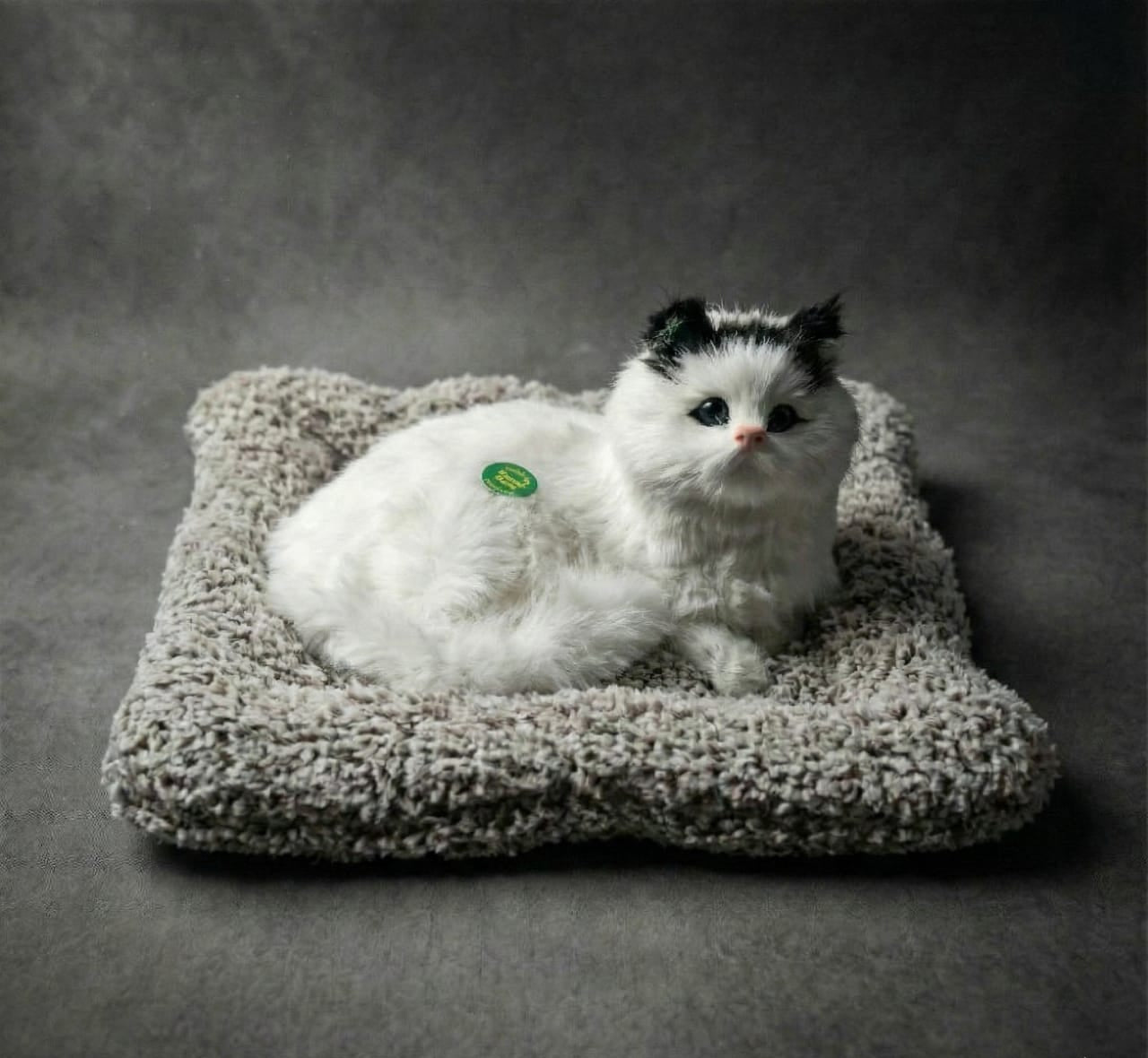 Car & Home Decor (CAT)