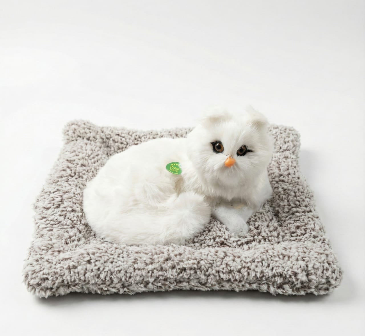 Car & Home Decor (CAT)