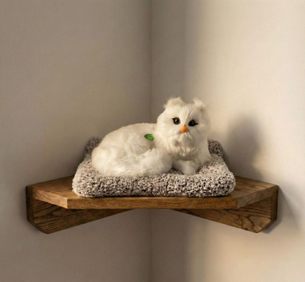 Car & Home Decor (CAT)