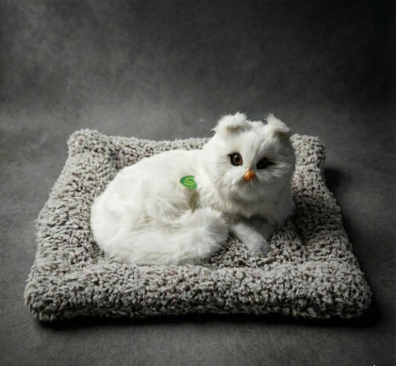 Car & Home Decor (CAT)